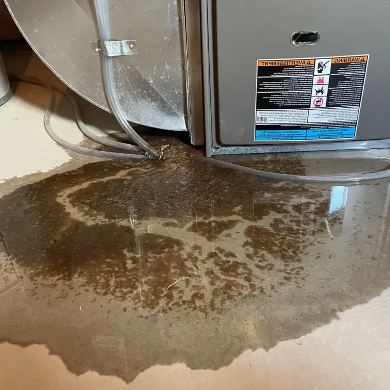 Pipe Burst and Leak Restoration in Sapulpa, OK